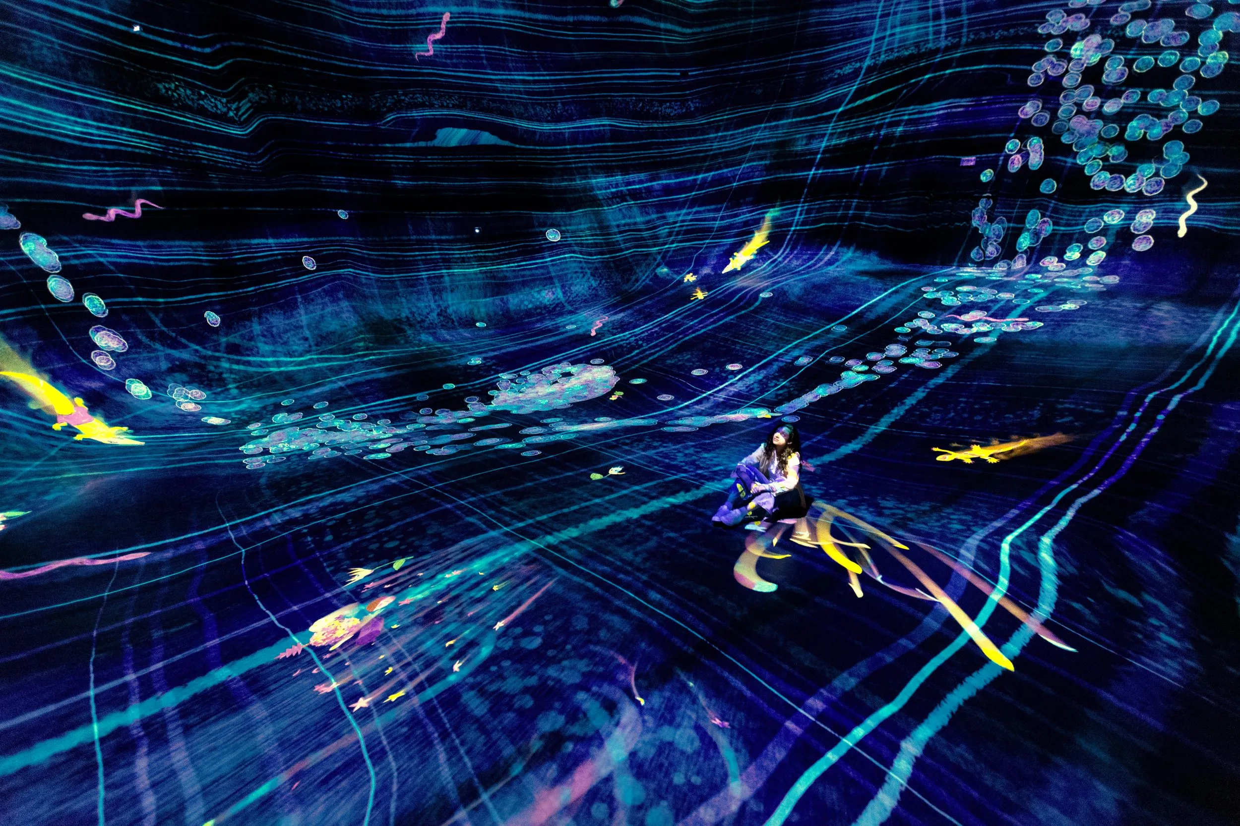 Teamlab Phenomena (Abu Dhabi)